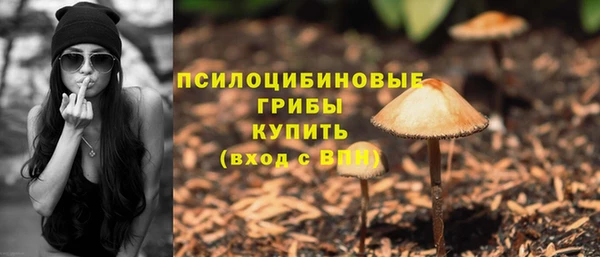 ГАЛЛЮЦИНОГЕННЫЕ ГРИБЫ Нягань