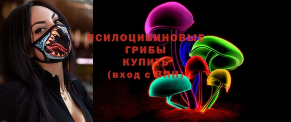 прущая мука Няндома