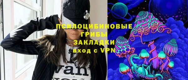 молекула духа Алзамай