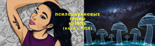 молекула духа Алзамай