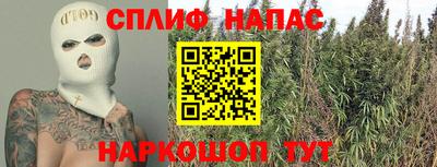 прущие грибы Краснодар