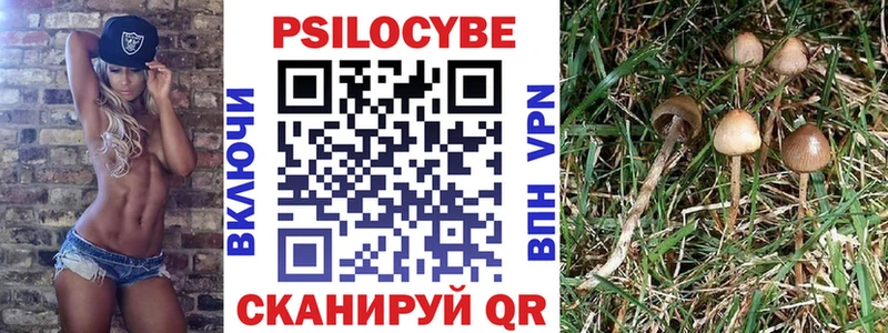 Псилоцибиновые грибы Magic Shrooms  как найти закладки  Казань 